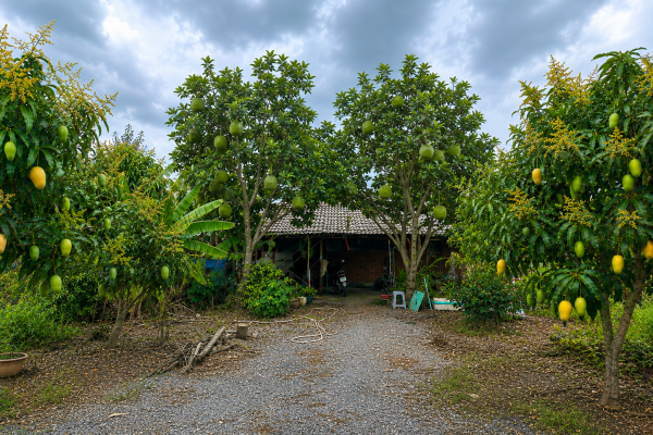 ChatGPT Image 21_18_33 11 thg 8, 2026