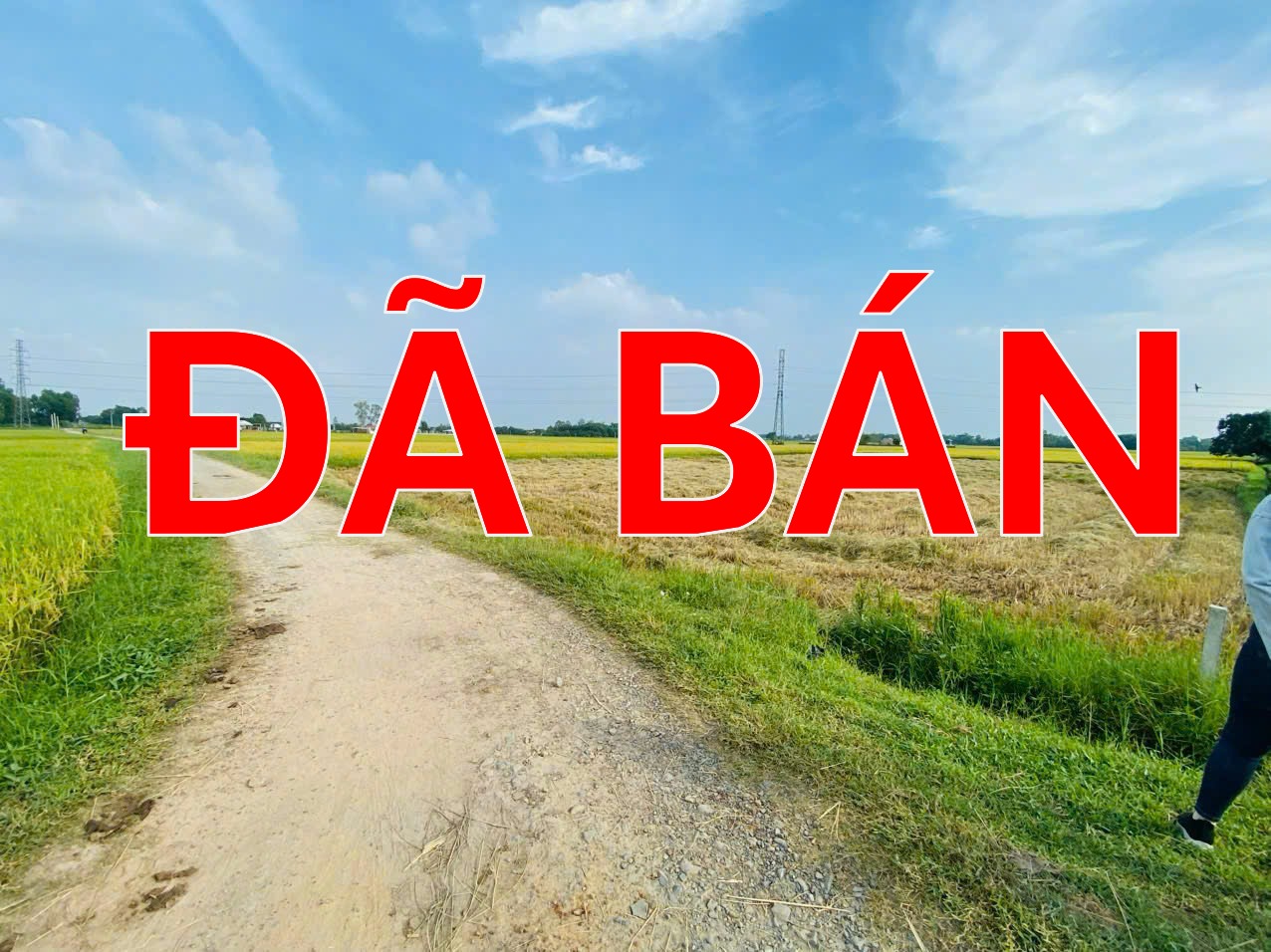 Hiệp Hòa 600m full thổ