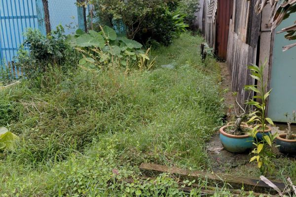 z7170426796358_d7d768011a65c0ae1ab2ec4f4e72bb84