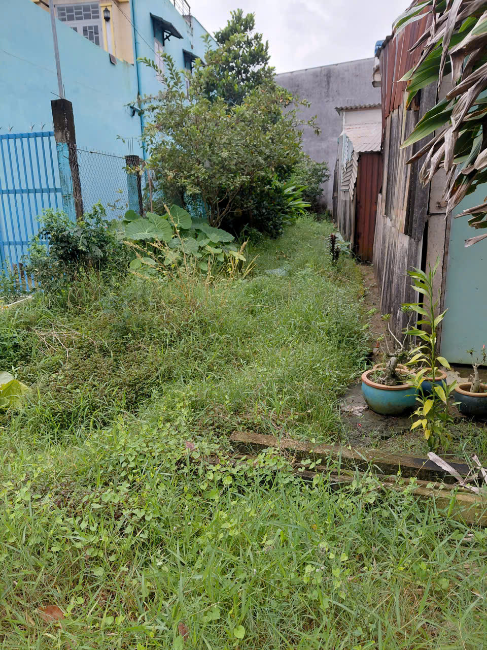 CHÍNH CHỦ GỬI BÁN ĐẤT CHÂU THÀNH – LONG AN CŨ, TÂY NINH MỚI