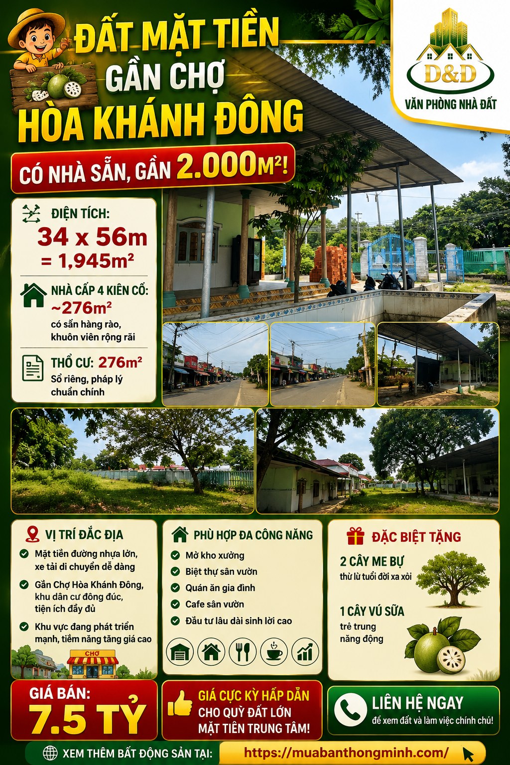 🏡 ĐẤT MẶT TIỀN GẦN CHỢ HÒA KHÁNH ĐÔNG – CÓ NHÀ SẴN, GẦN 2.000M² – GIÁ 7.5 TỶ