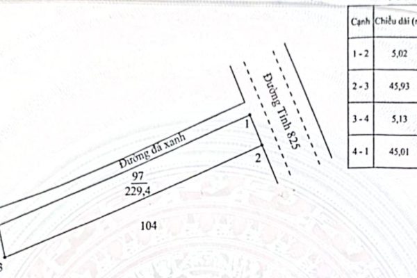 1792988011593_1502921112171479347_4288366492953802347_940f2be52c219a73236cccbd3812452f